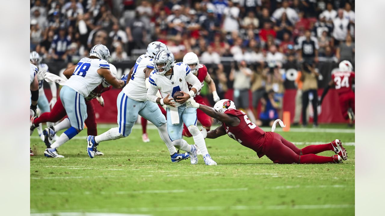 Cardinals open as massive home underdogs against Cowboys in Week 3 -  Revenge of the Birds