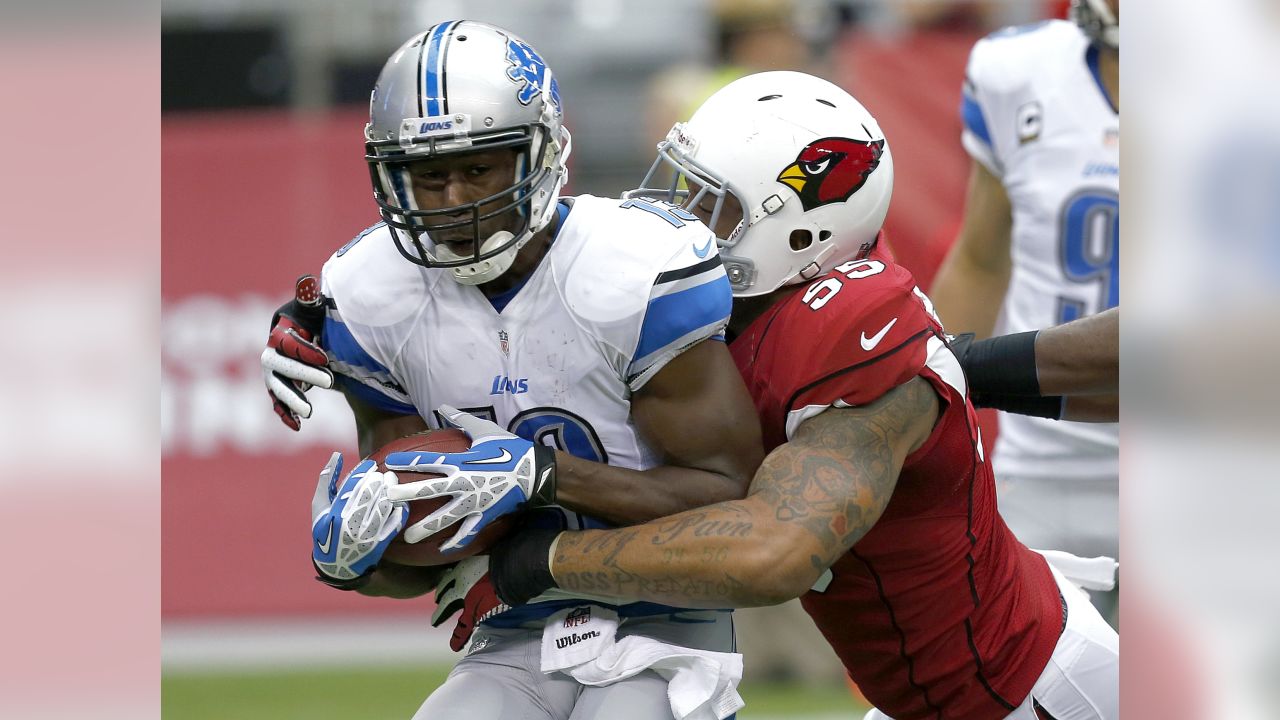 Youthful Cardinals Ready To Face Lions