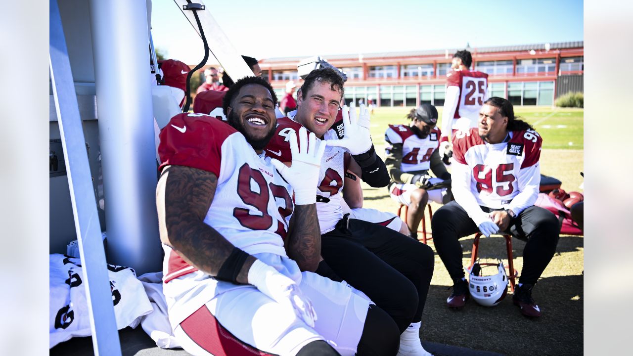 DENVER, CO - DECEMBER 18: Arizona Cardinals linebacker Myjai Sanders (41)  and safety Chris Banjo (31