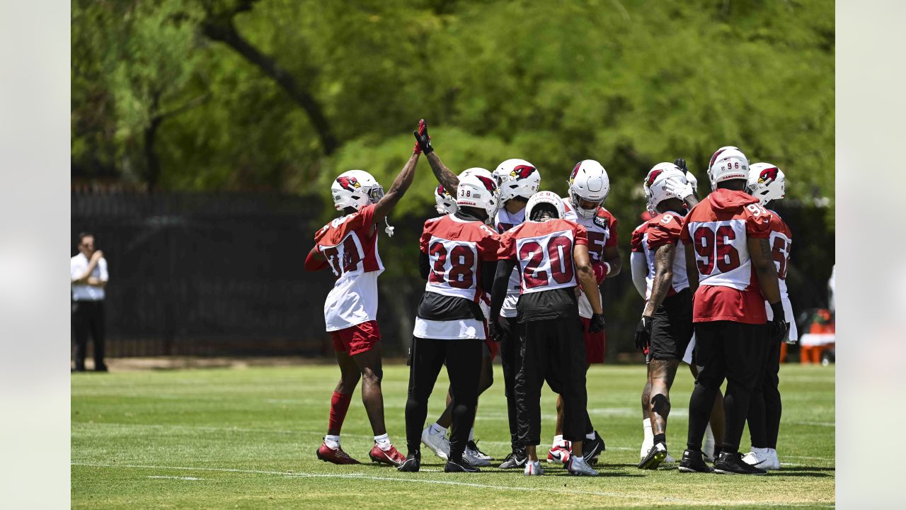 Arizona Cardinals safety Jalen Thompson's leaping PBU on wide