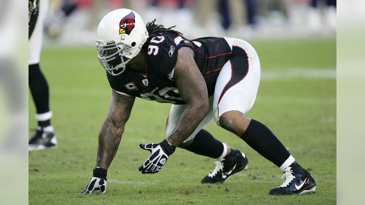 Arizona Cardinals - Happy Birthday to Darnell Dockett! LIKE, SHARE and  comment to wish him the best and then VIEW our favorite Dockett pictures in  this photo gallery ->