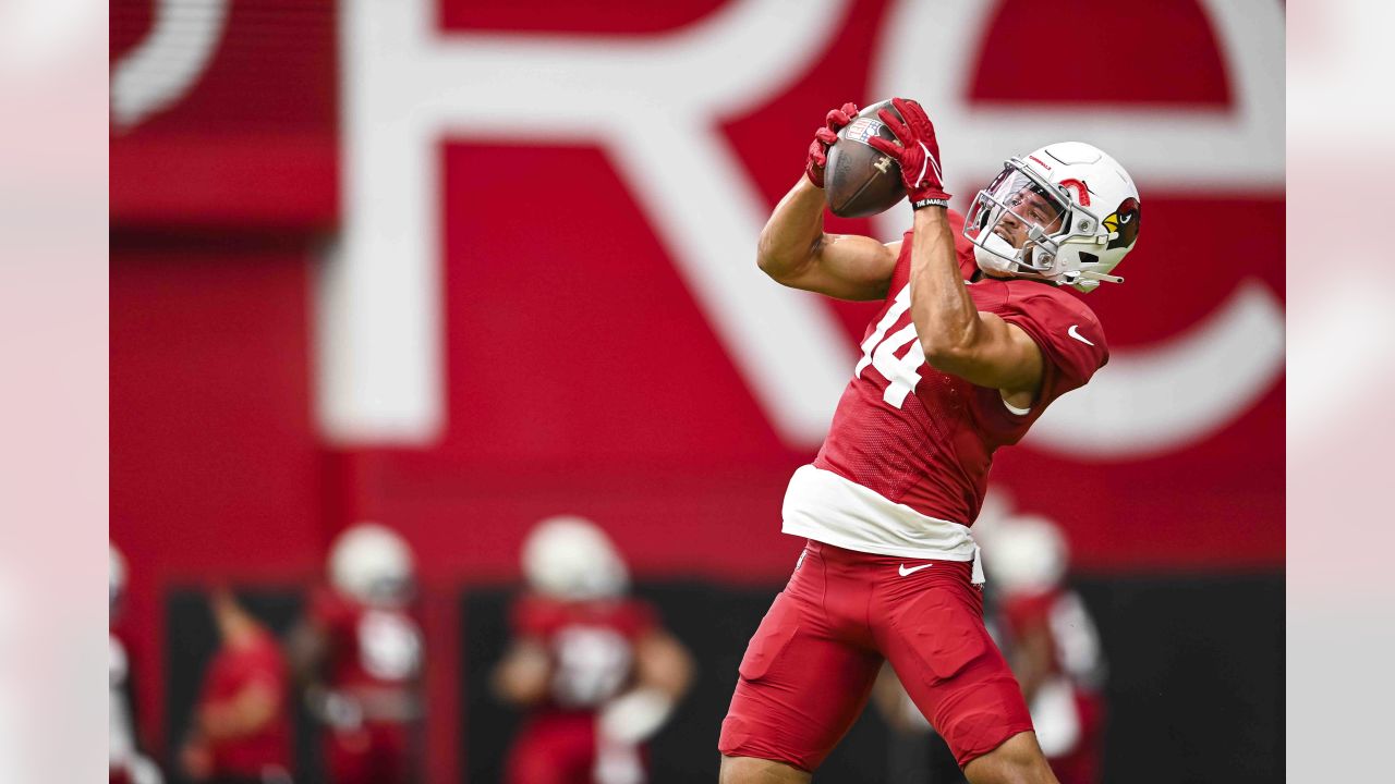 Arizona Cardinals tight end Noah Togiai (81) runs after the catch