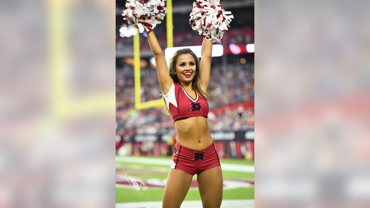 2,115 Arizona Cardinals Cheerleaders Stock Photos, High-Res