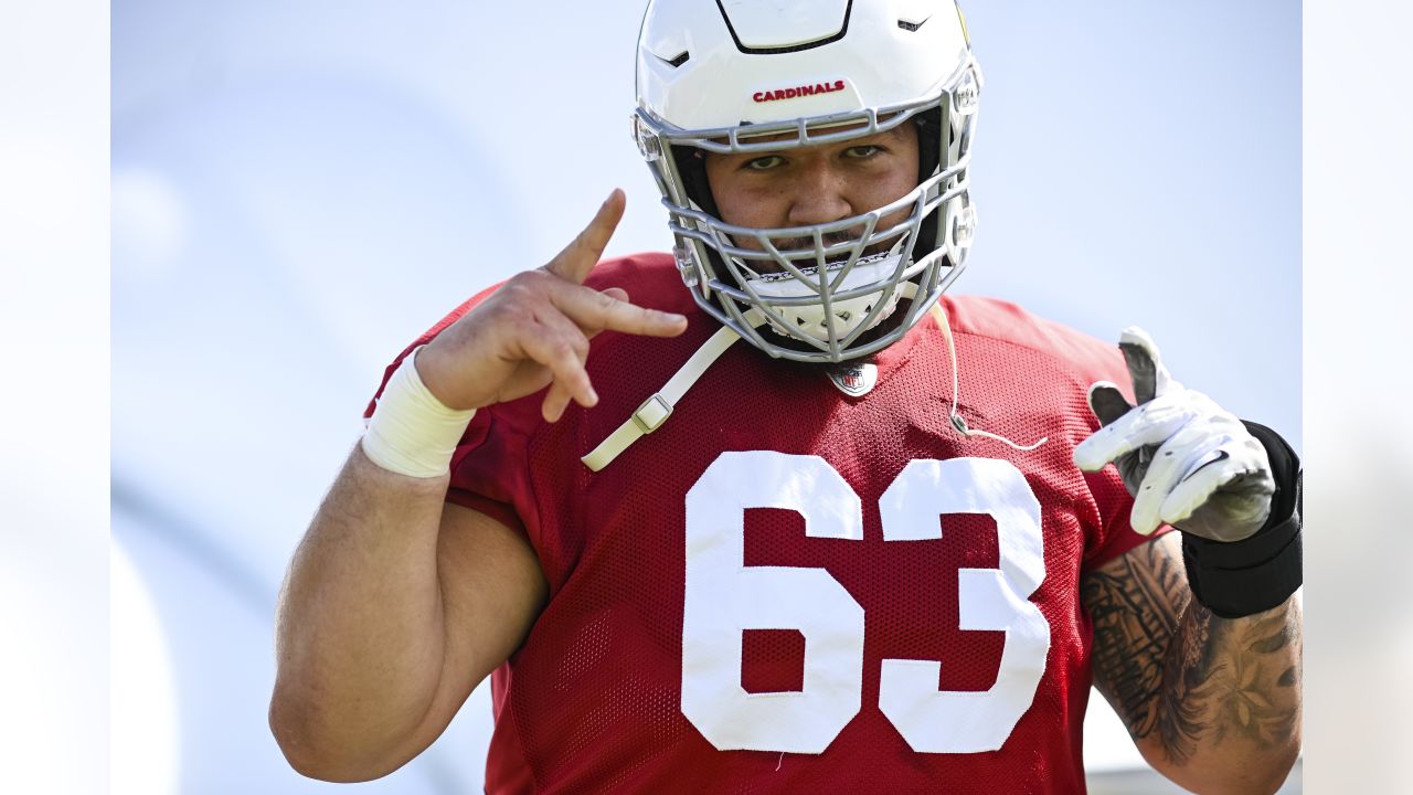 Arizona Cardinals no longer picture of health