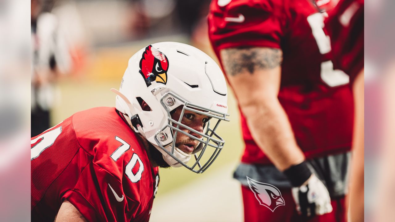 Brandon Williams may be Ready Sooner than Expected for Arizona Cardinals -  Revenge of the Birds