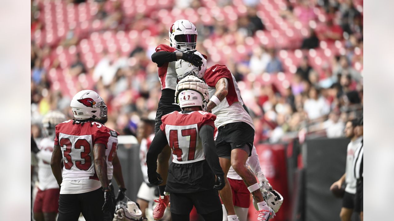 PHOTOS: Cardinals Training Camp - August 1