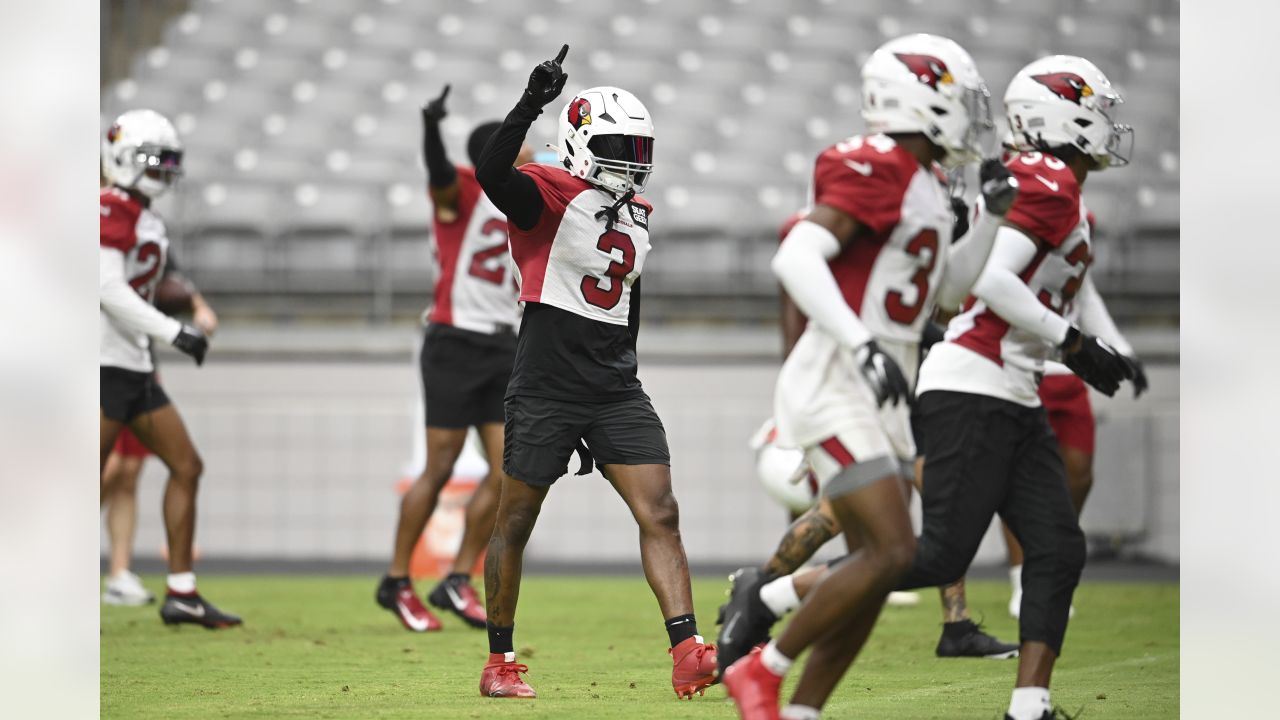 PHOTOS: Cardinals Training Camp - July 29