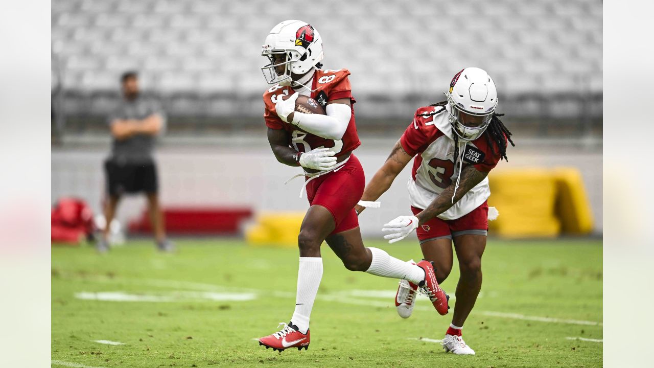 Arizona Cardinals running back James Conner will have a bobblehead night in  hometown