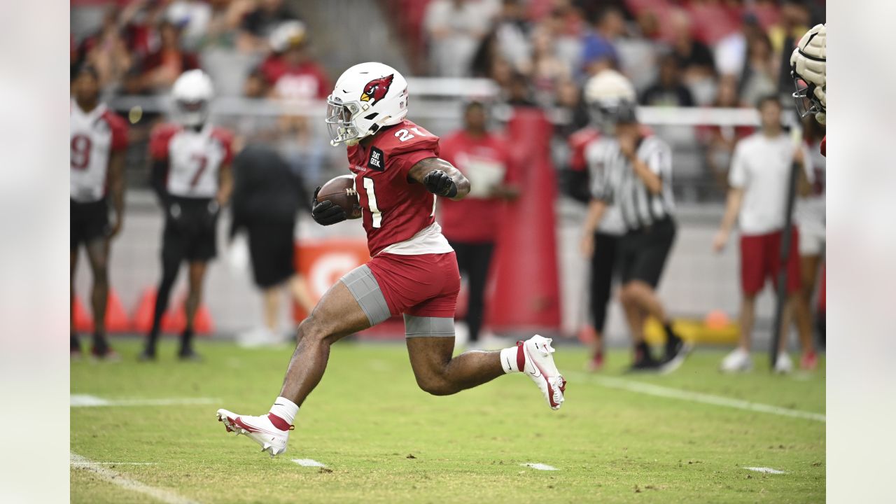 Arizona Cardinals running back Darrel Williams makes a catch as he takes  part in drills during the NFL football team's training camp at State Farm  Stadium, Thursday, July 28, 2022, in Glendale