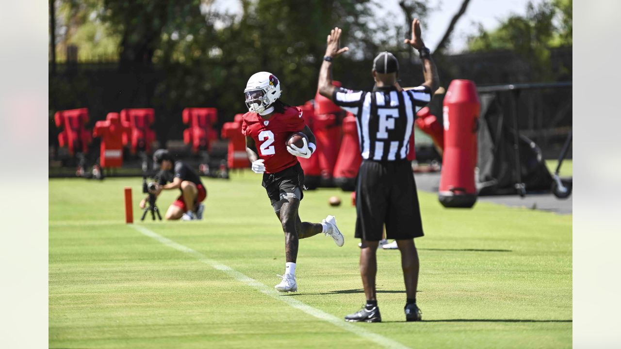 PHOTOS: Cardinals Training Camp - August 17