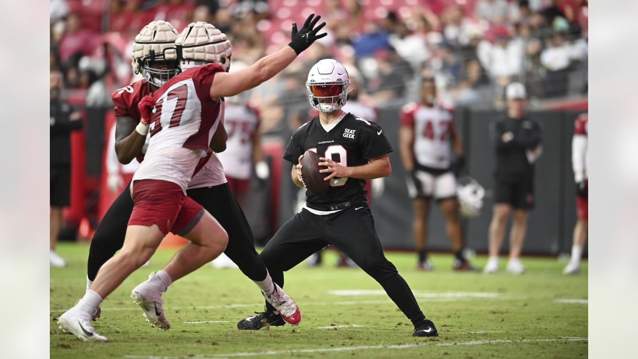 Arizona Cardinals safety Tae Daley (48) in action as the Arizona