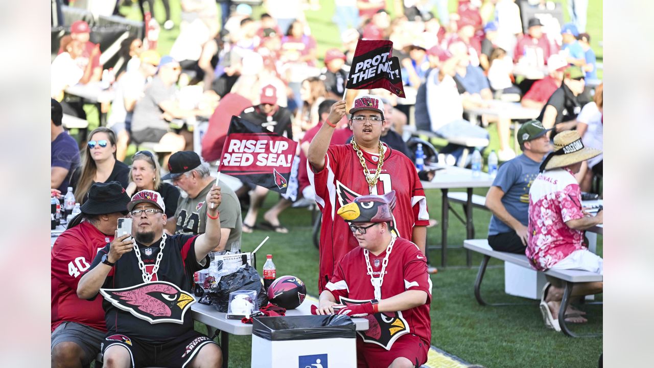 What Arizona Cardinals are doing to celebrate NFL draft with fans