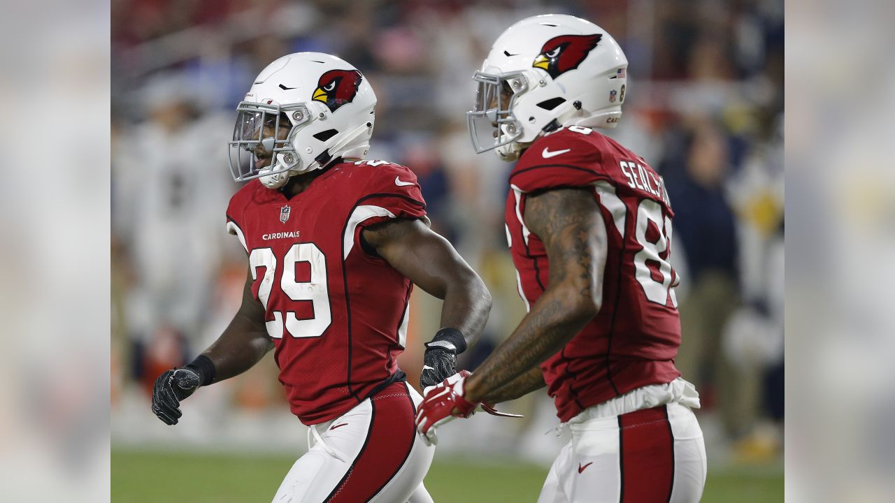 Arizona Cardinals RB David Johnson embracing role as a vocal veteran