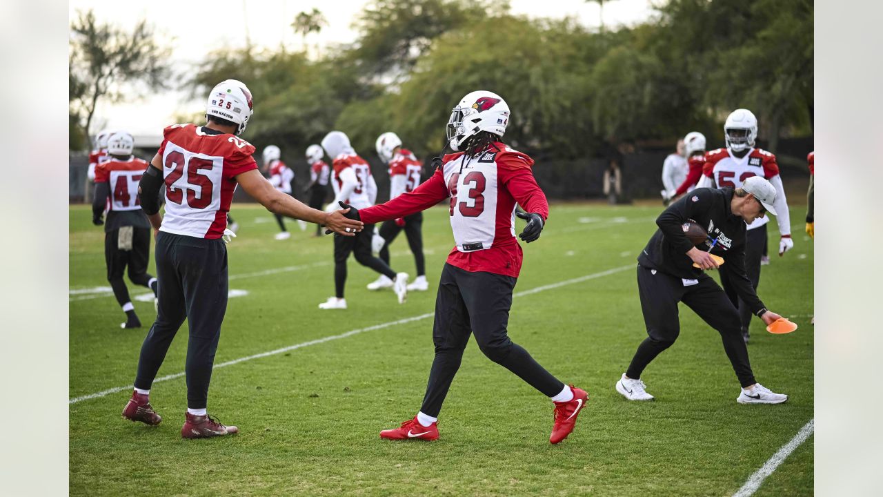 Cardinals kicker Matt Prater has most 50-yard field goals in NFL history  and shows no sign of slowing