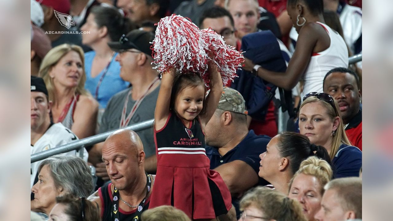 New England Patriots vs. Arizona Cardinals . Fans support on NFL Game.  Silhouette of supporters, big screen with two rivals in background Stock  Photo - Alamy