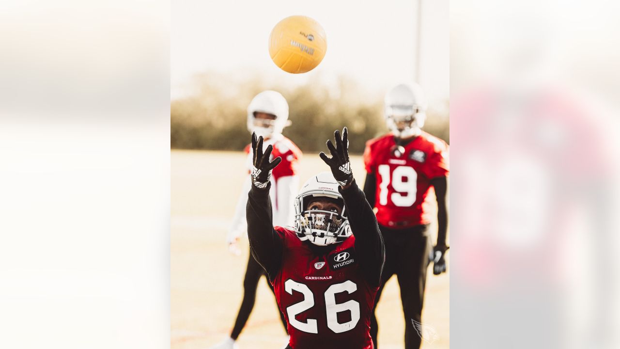 Arizona Cardinals superfan creates Larry Fitzgerald Christmas song