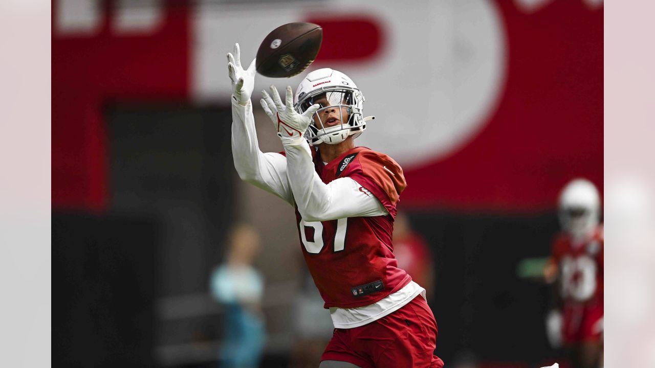 Cardinals Running Back Outlook: Who will join James Conner in the  committee? - Revenge of the Birds