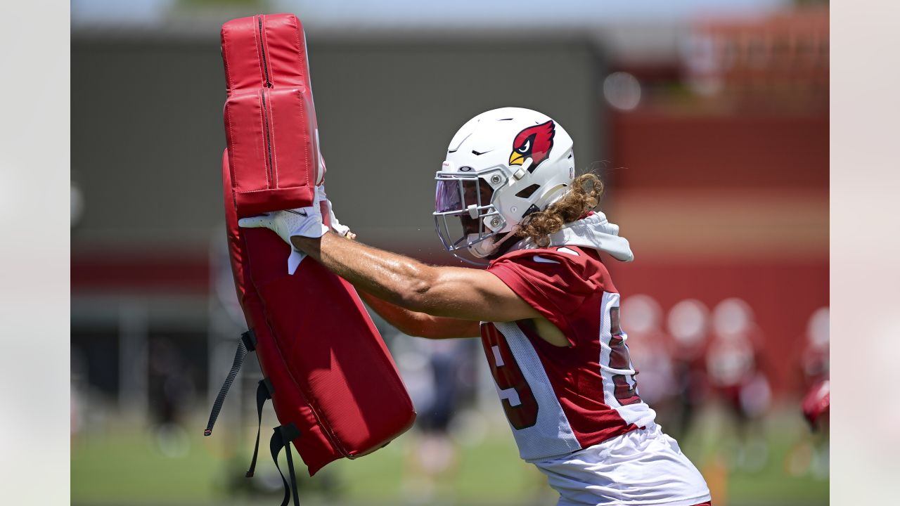 Dennis Gardeck's grind from torn ACL highlighted in 'Cardinals