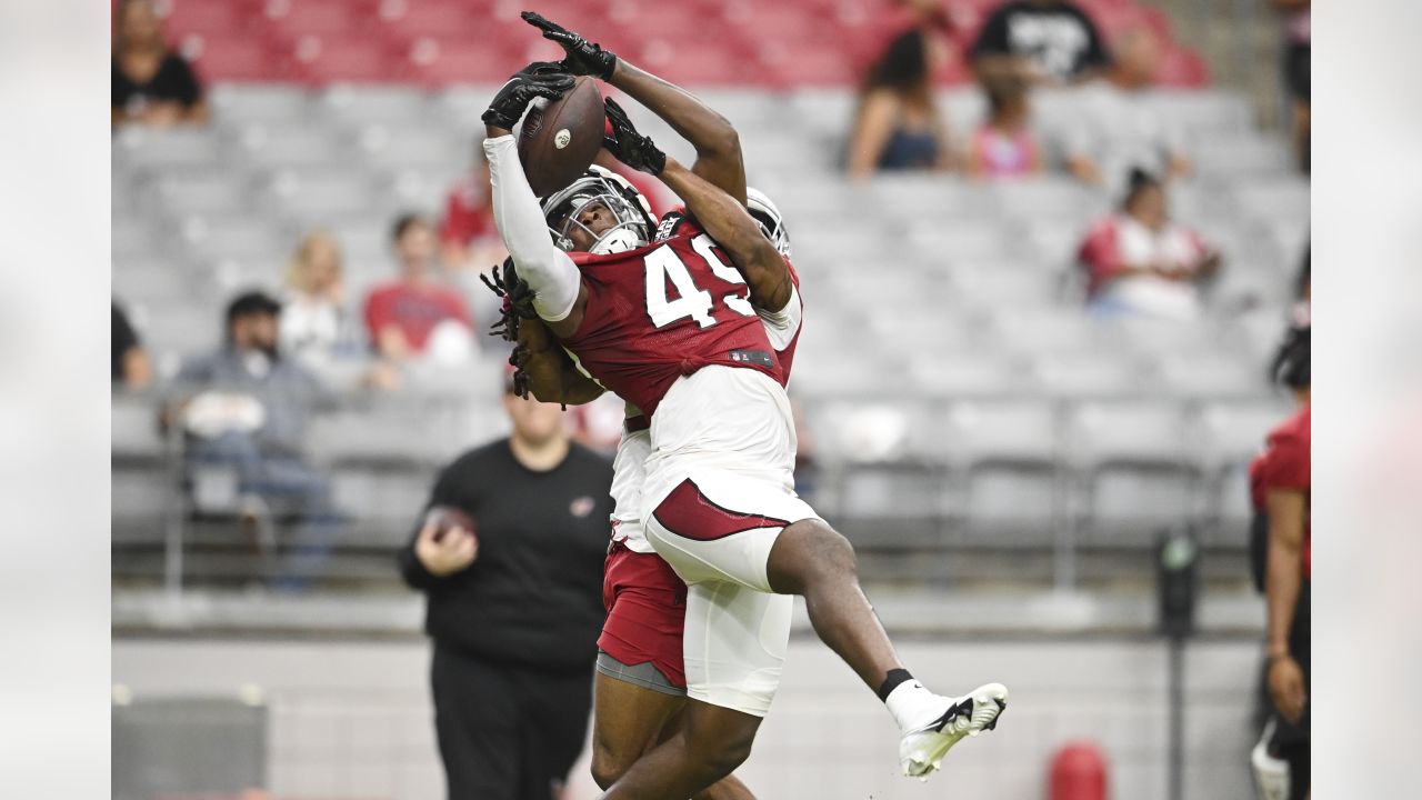 Chris Pierce Jr., Arizona Cardinals, TE - News, Stats, Bio 