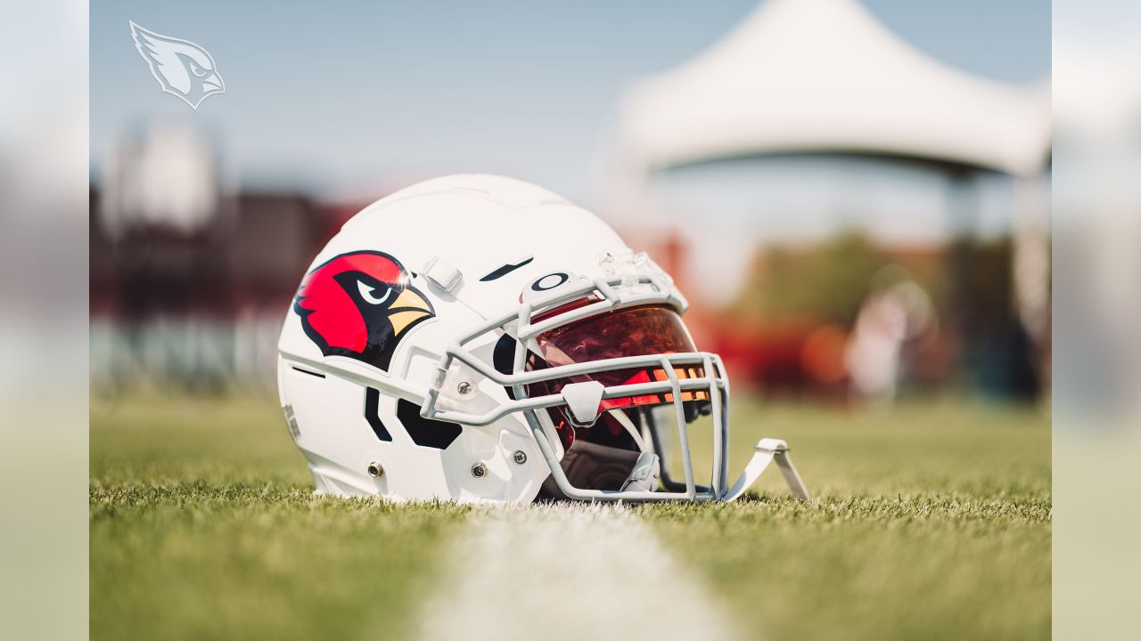 Arizona Cardinals release Pete Robertson, Tanner Vallejo and T.J. Logan -  Revenge of the Birds