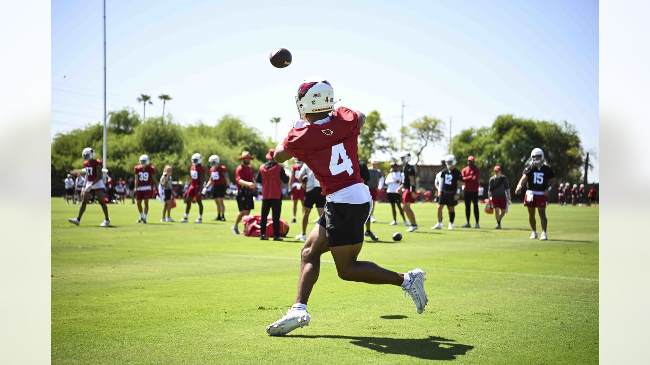 PHOTOS: Cardinals Training Camp - August 17