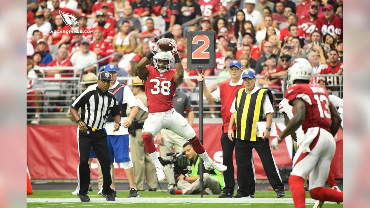 Arizona Cardinals and Adrian Peterson? Dreaming is free