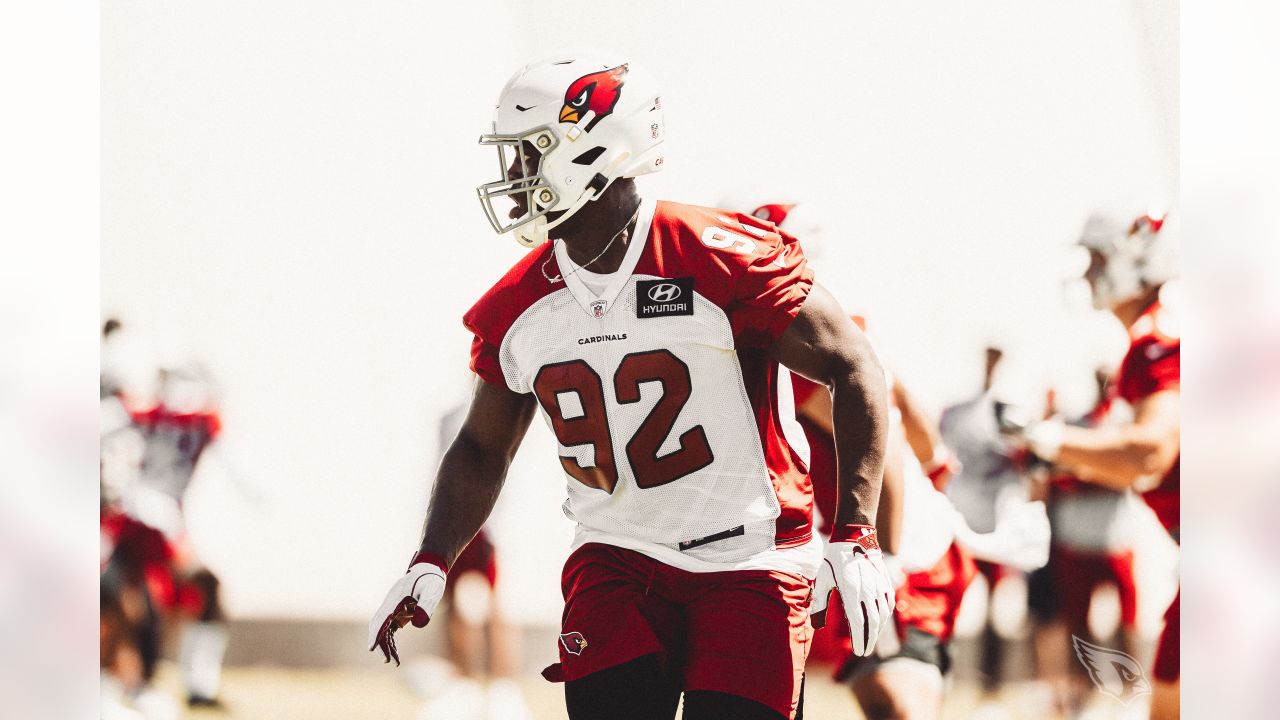 Cardinals sign rookies Marco Wilson, James Wiggins, Michal Menet