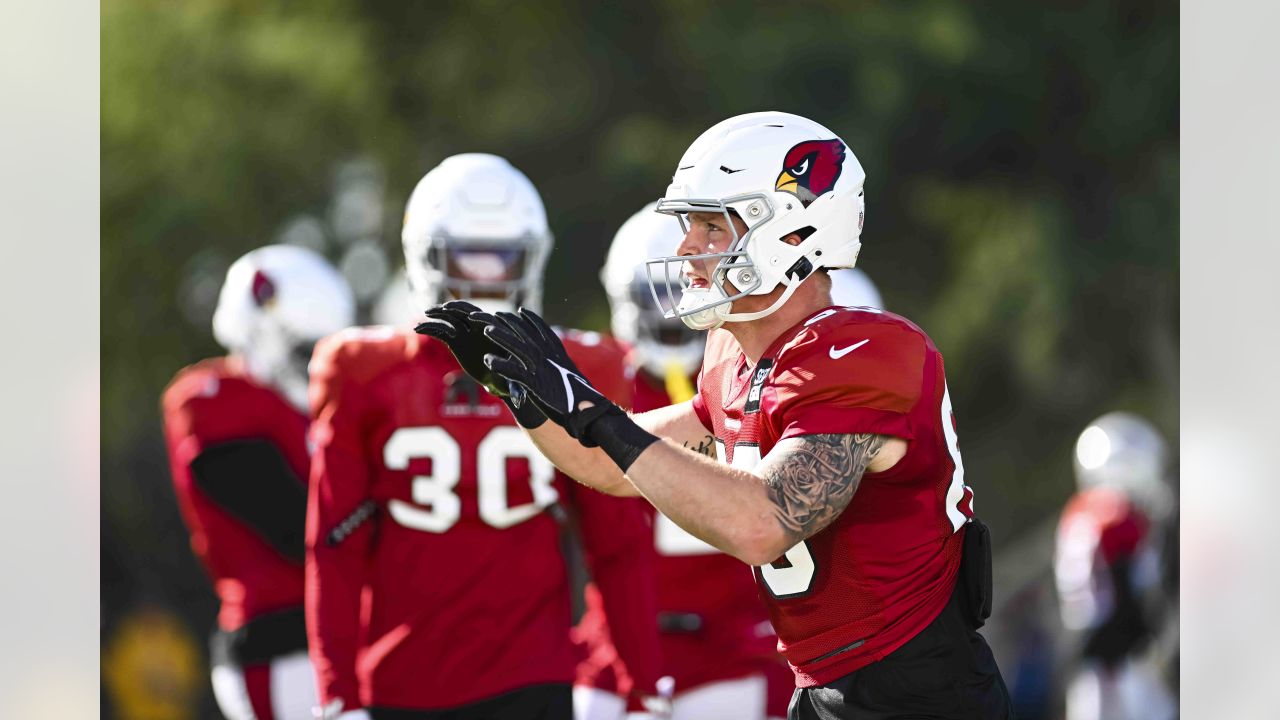 Cardinals: Zach Ertz drops truth bomb on recovery from torn ACL