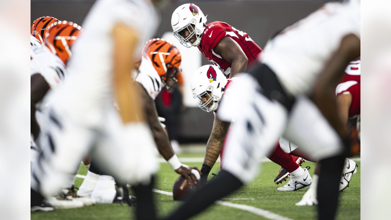 Arizona Cardinals defensive tackle Leki Fotu (95) looks up at a replay  during an NFL football game against the Cincinnati Bengals, Friday, Aug.  12, 2022, in Cincinnati. (AP Photo/Zach Bolinger Stock Photo - Alamy