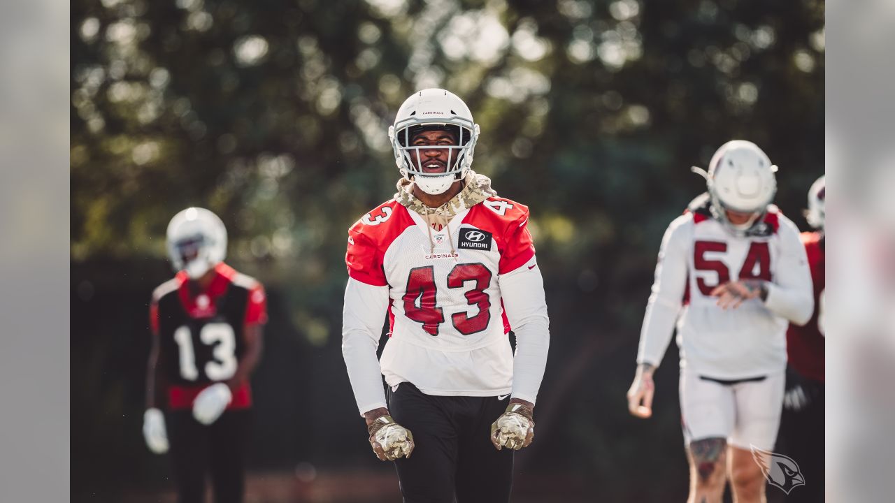 Terrell Suggs Provides Some Sizzle For Cardinals' Locker Room