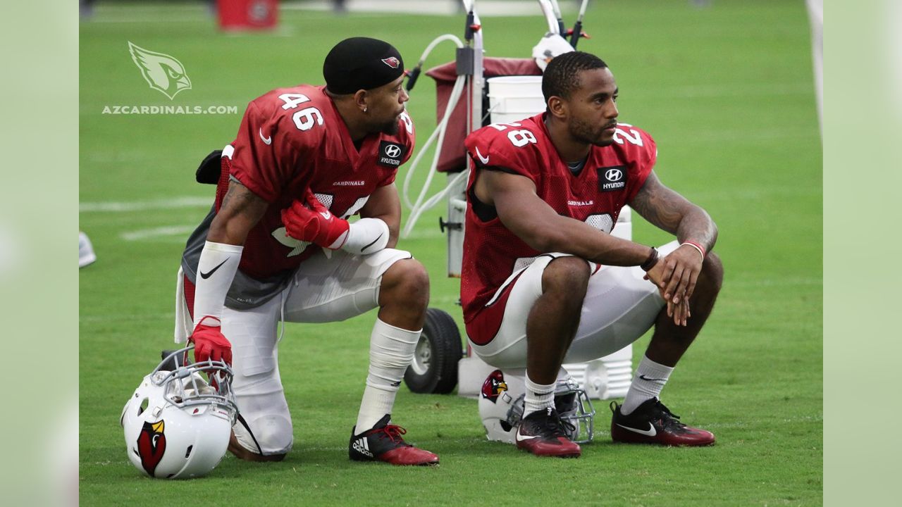 Darren Fells Arizona Cardinals Game Worn & Signed Red & Black Nike Cleats -  Big Dawg Possessions