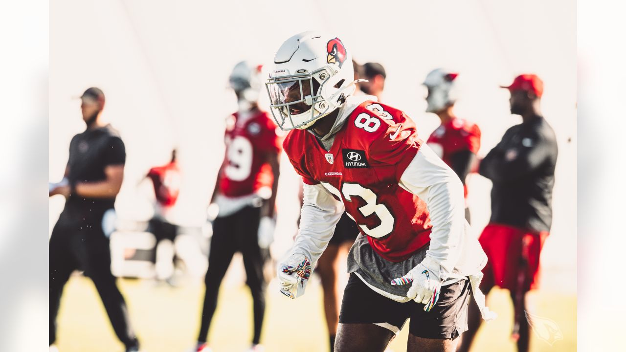 Arizona Cardinals' Budda Baker is 'chill' until 'he flips that savage  switch' - ESPN - NFL Nation- ESPN