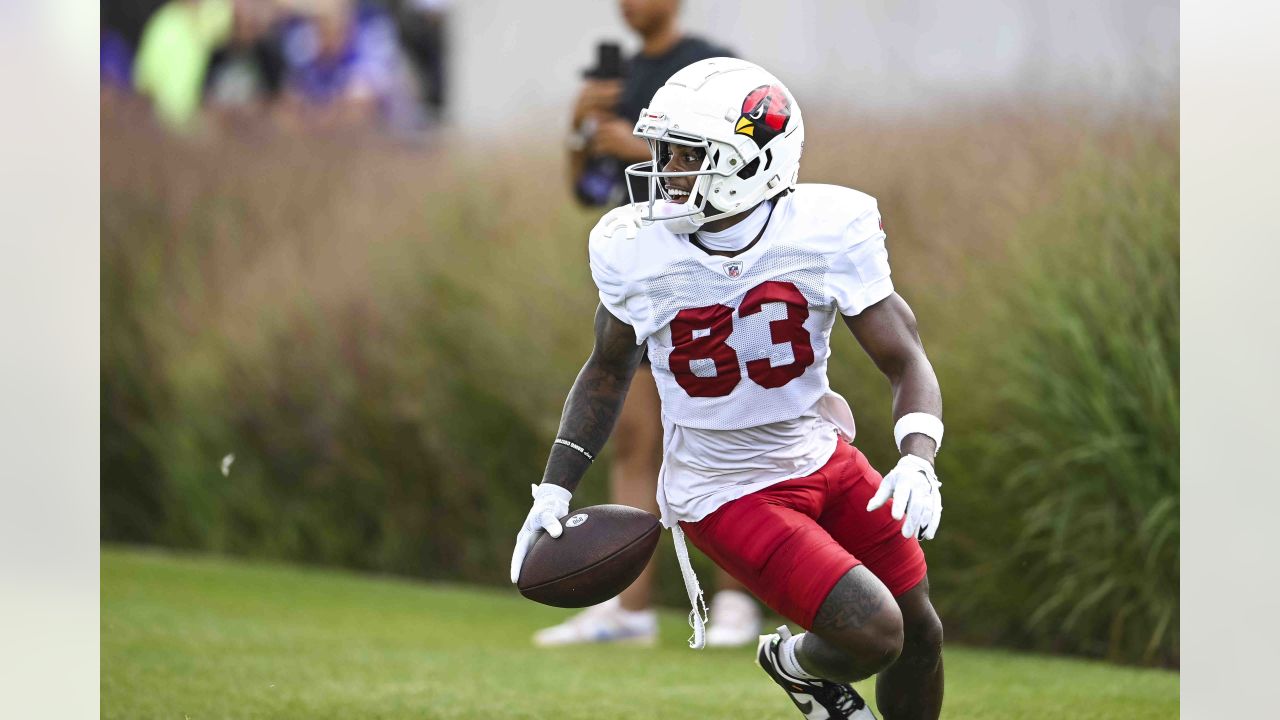 Arizona Cardinals wide receiver Greg Dortch (83) is tackled by