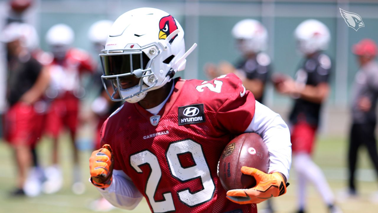 Cardinals Position Overview: Running Backs