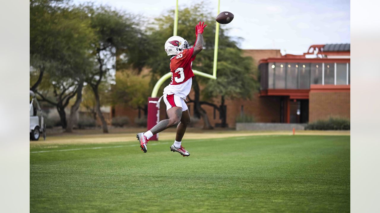 Arizona Cardinals have full trust in kicker Matt Prater and he delivers