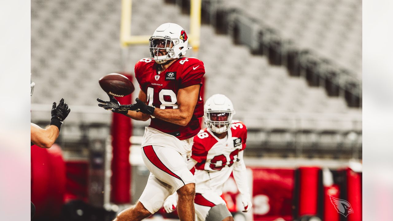 Arizona Cardinals outside linebacker Victor Dimukeje flies in on