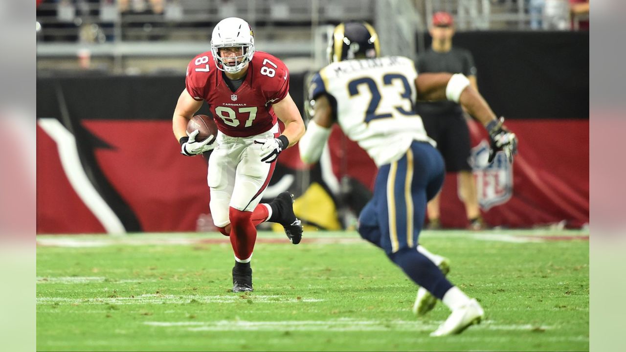 Arizona Cardinals tight end Troy Niklas (87) pulls in a touchdown