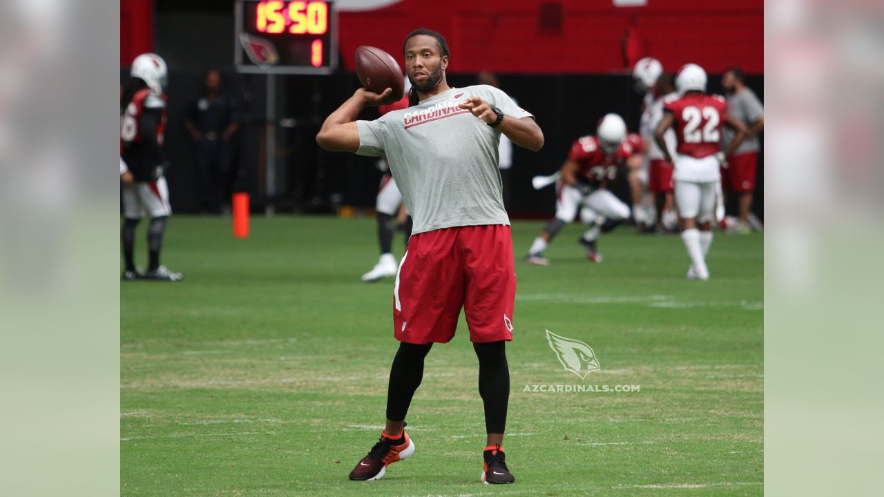 Darren Fells Sideline Worn & Signed Arizona Cardinals New Era