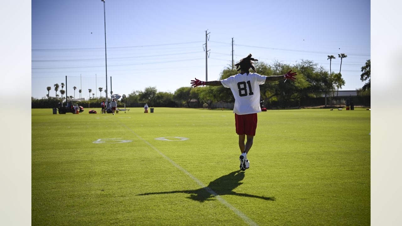 Arizona Cardinals wide receiver Robbie Anderson (81) against the