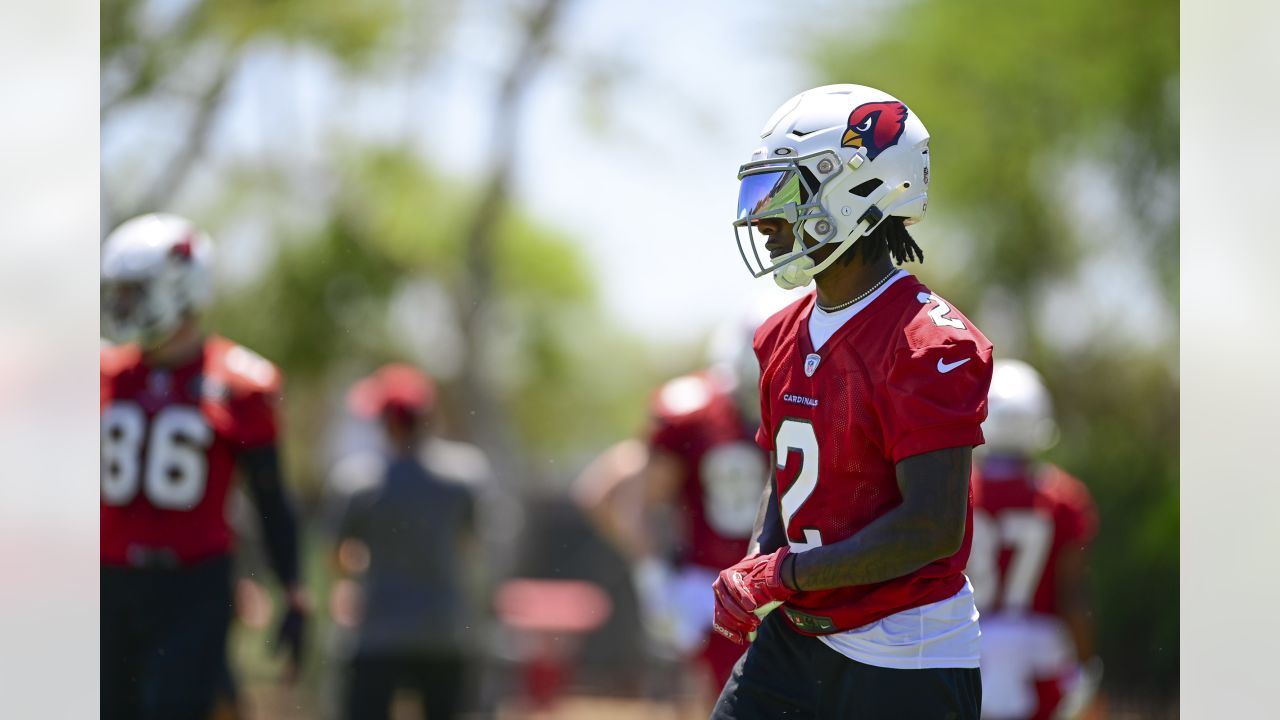 Arizona Cardinals activate Marquise Brown off Non-Football Injury list -  Revenge of the Birds