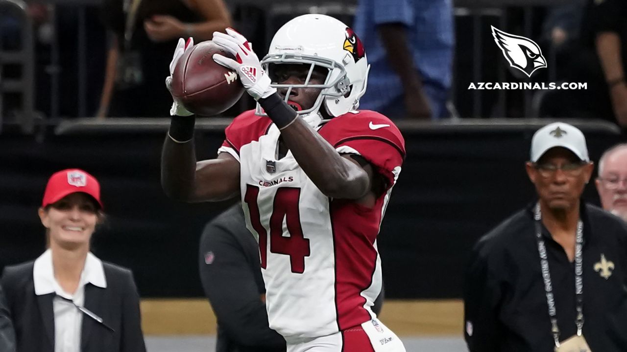 Arizona Cardinals make cuts, transactions to reach initial 53-man