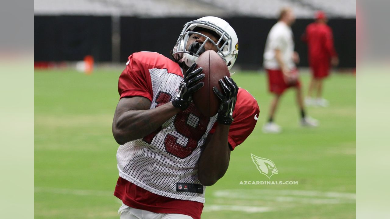 Darren Fells Arizona Cardinals Game Worn & Signed Pink Breast Cancer  Awareness Nike Gloves - Big Dawg Possessions