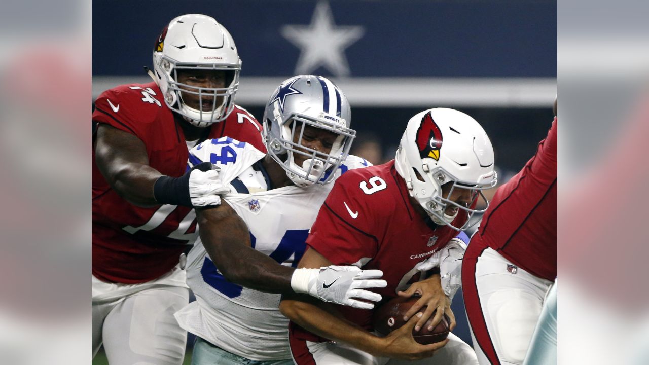 Chippy Arizona Cardinals Finish Preseason on a High Note - Sports