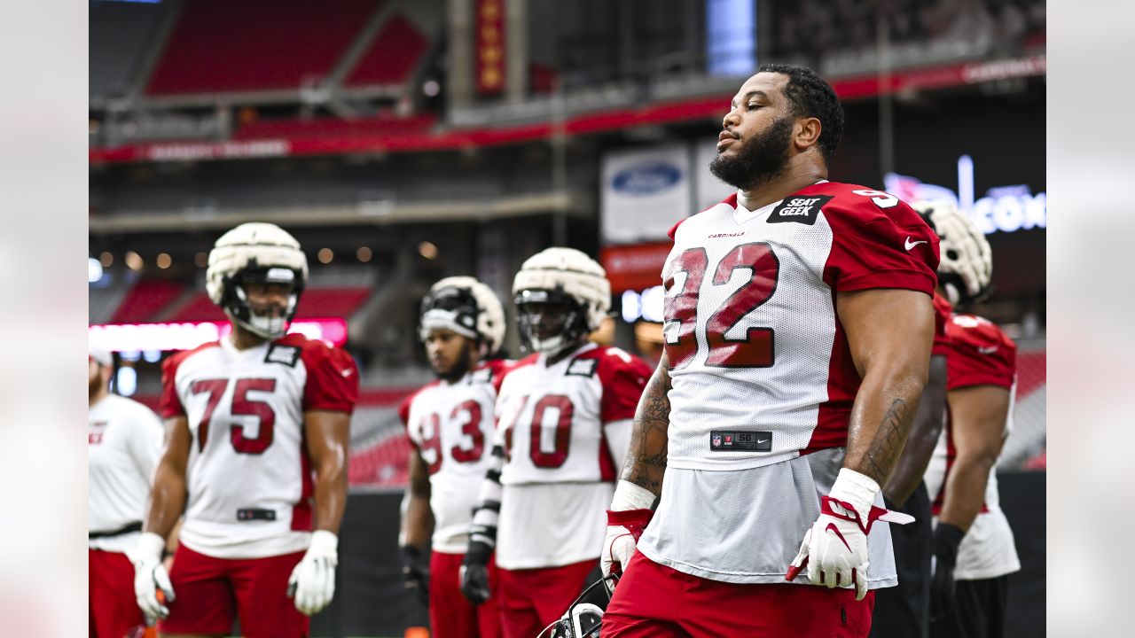 Cardinals News: Bye week get away, Hollywood Brown has no pitch count -  Revenge of the Birds