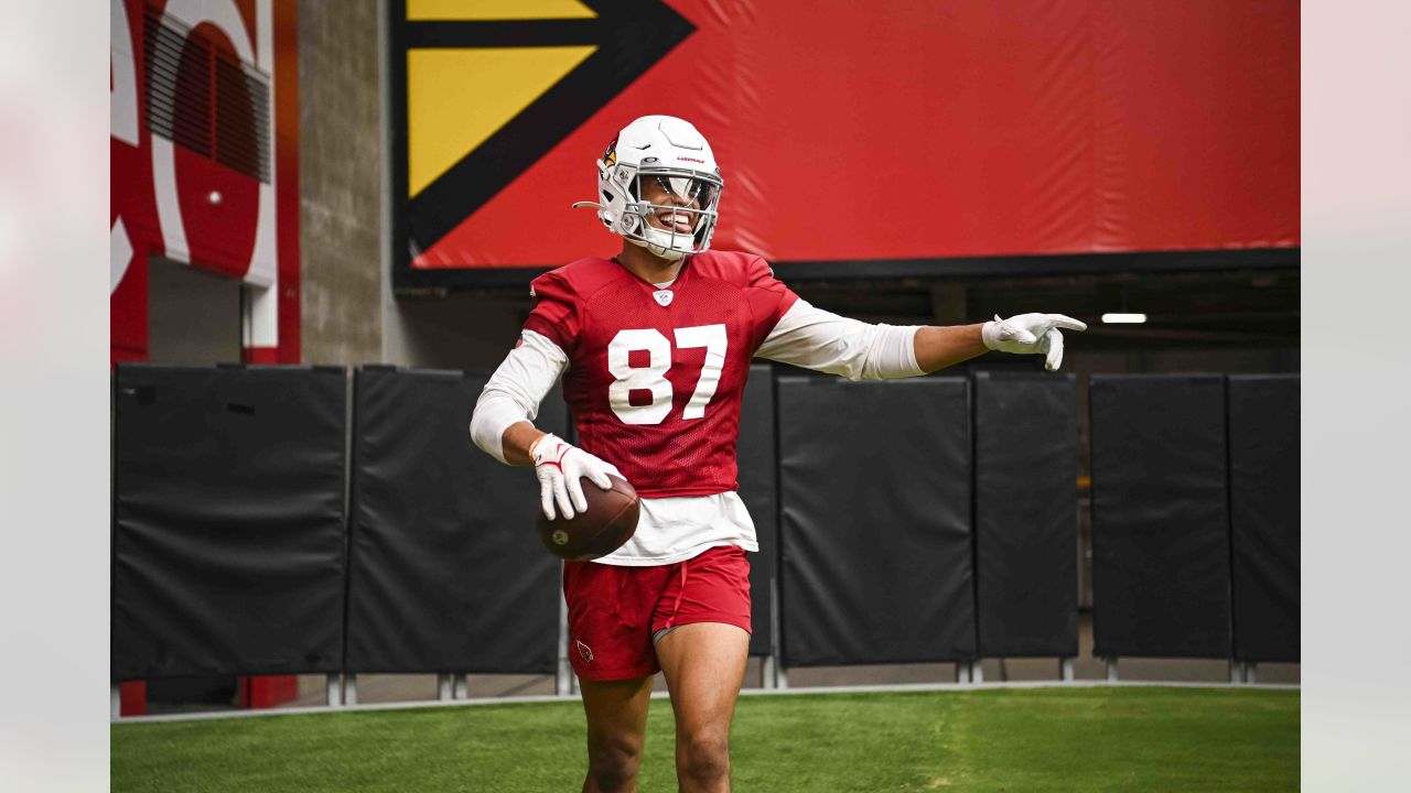 Arizona Cardinals wide receiver Davion Davis (10) runs down the