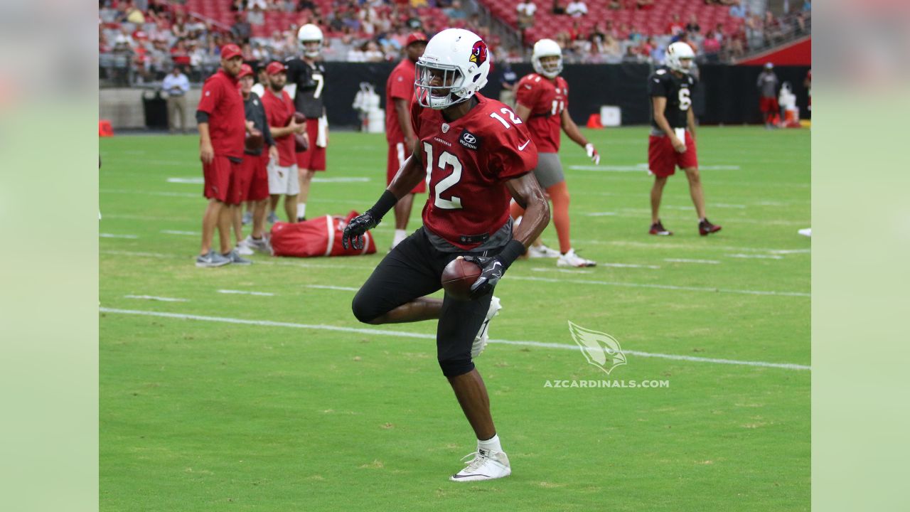 Cardinals cut wide receivers Greg Little, Brice Butler in cuts to 53 - NBC  Sports