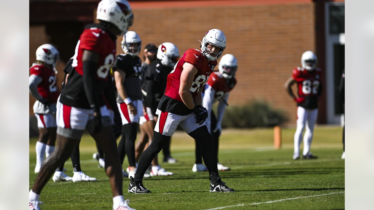 DENVER, CO - DECEMBER 18: Arizona Cardinals linebacker Myjai Sanders (41)  and safety Chris Banjo (31