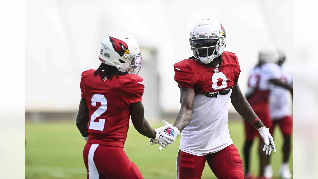 PHOTOS: Cardinals Training Camp - August 15