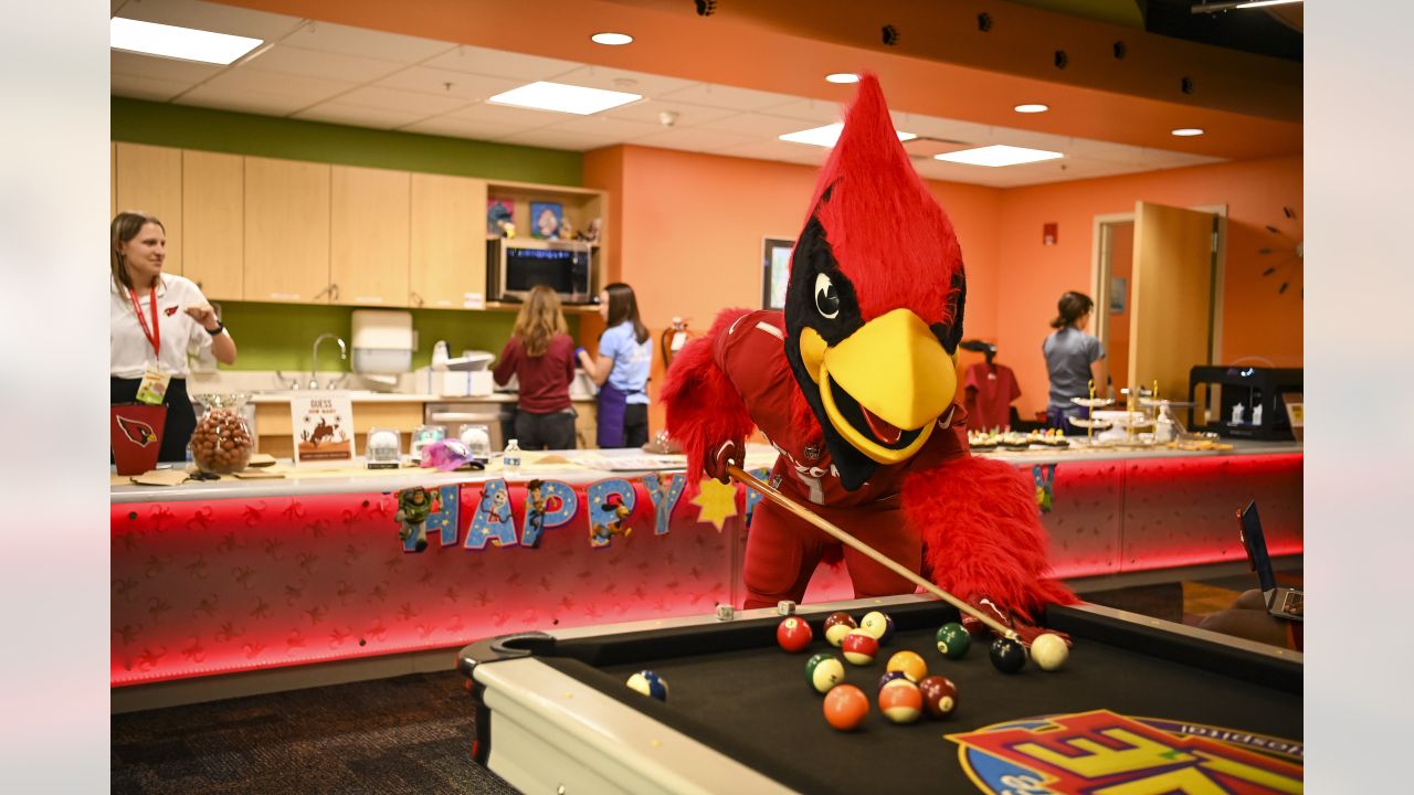 Arizona Cardinals Pool Table  Arizona cardinals, Arizona