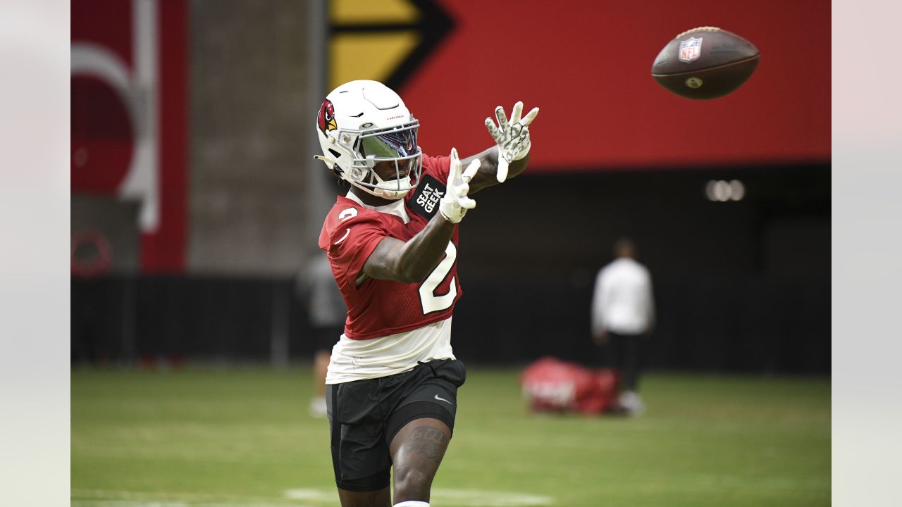 Arizona Cardinals activate Marquise Brown off Non-Football Injury list -  Revenge of the Birds